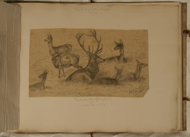 Record Image